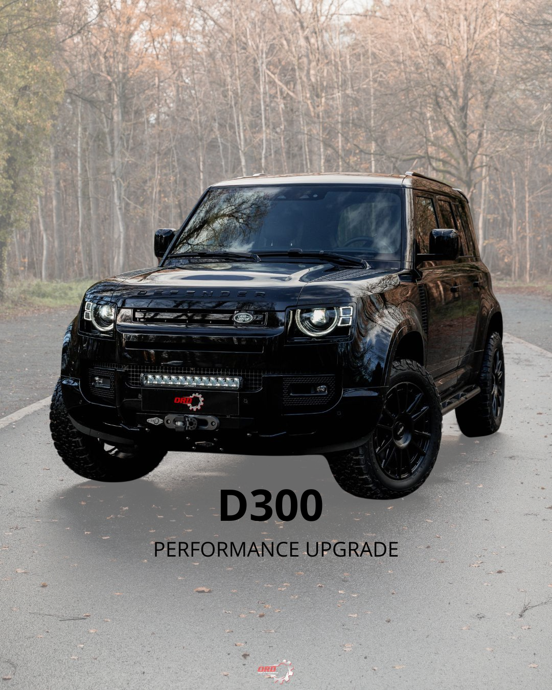 D300 Performance upgrade (25MY)
