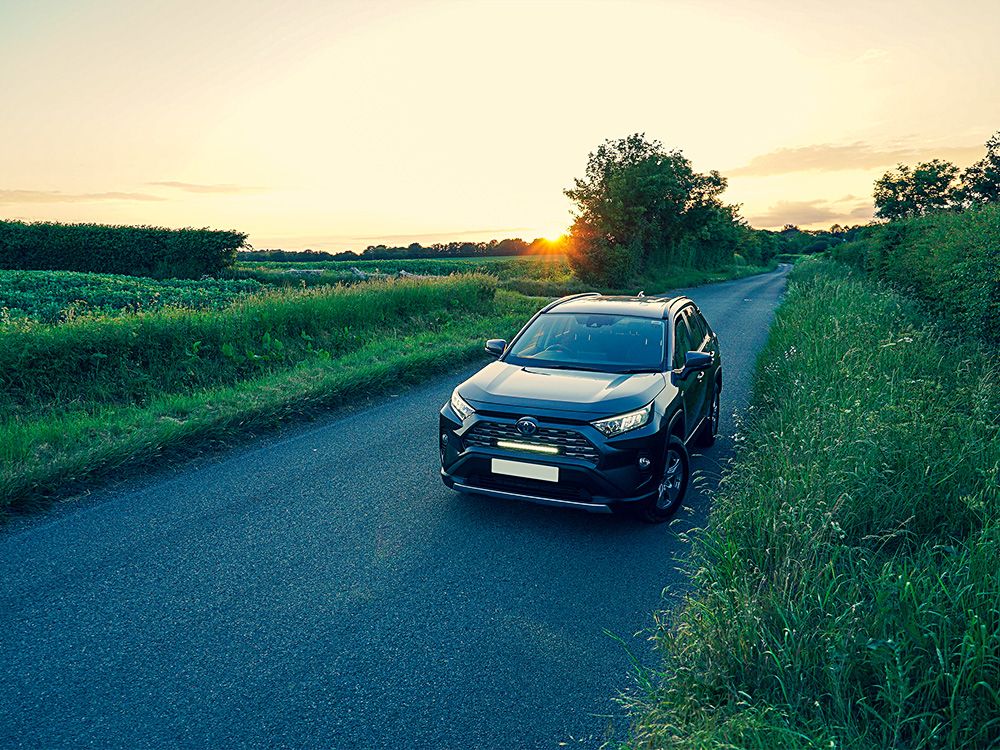 Toyota RAV4 Hybride (2019+) grilleset