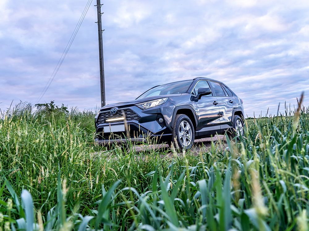 Toyota RAV4 Hybride (2019+) grilleset