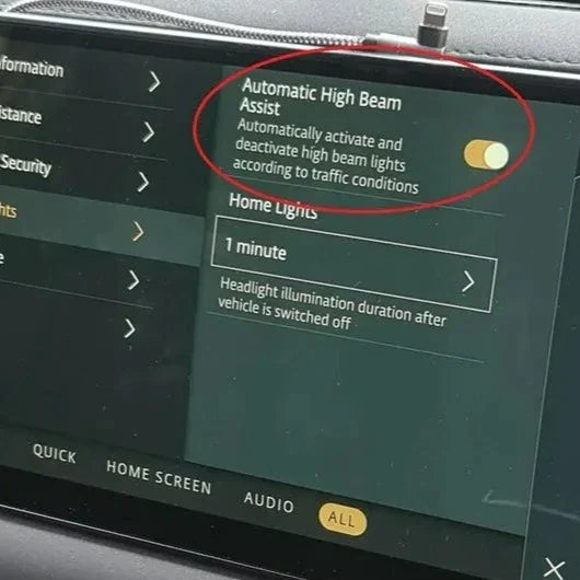Auto High Beam Assist
