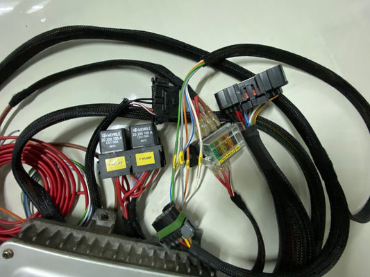 StandAlone Wiring Loom