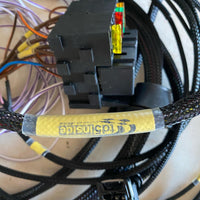 StandAlone Wiring Loom